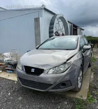 Seat Ibiza 2011