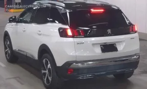 Peugeot 3008 2020