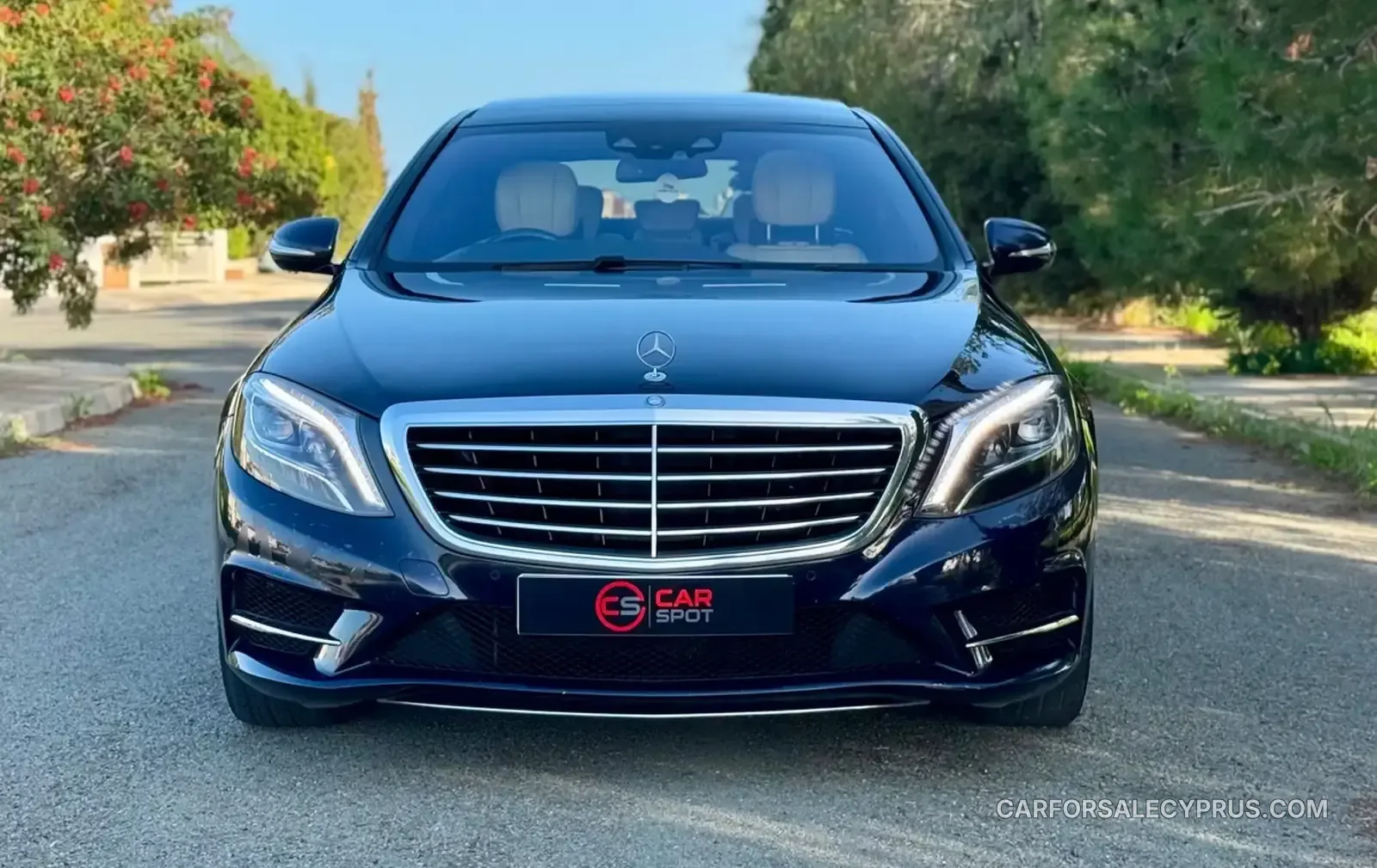 Mercedes-Benz S-Class 2014