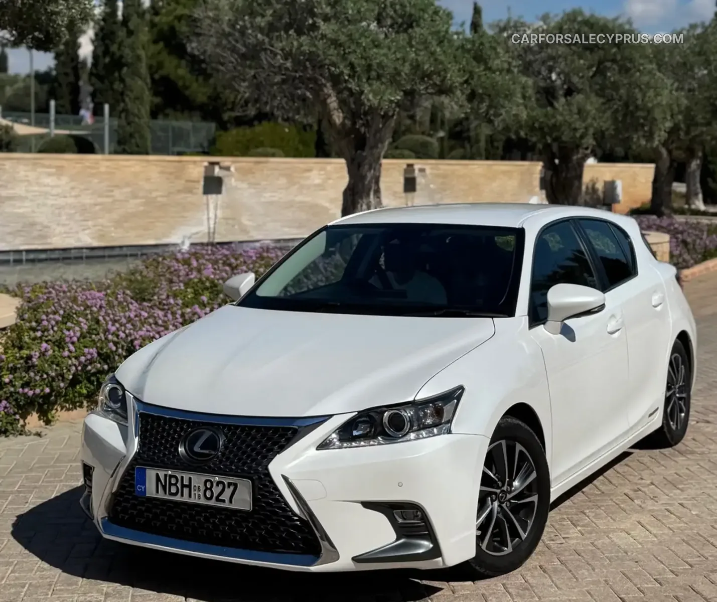 Lexus CT 2018