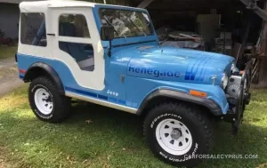 Jeep CJ 1980