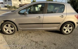 Peugeot 307 2004