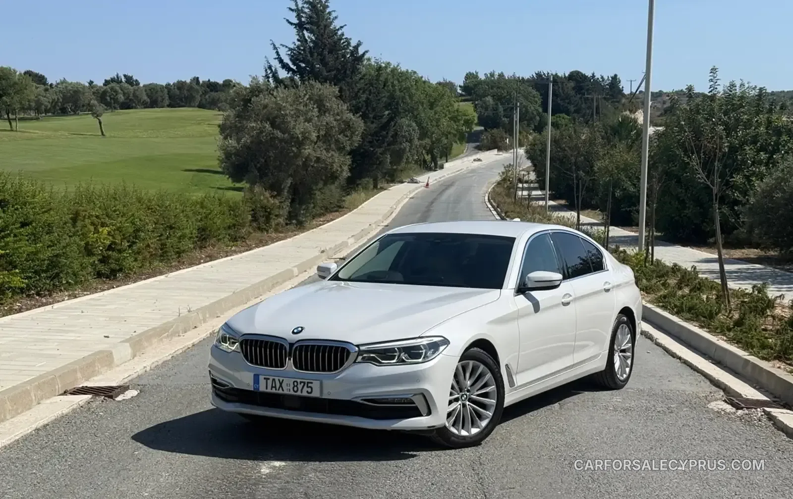 BMW Series 5 2019