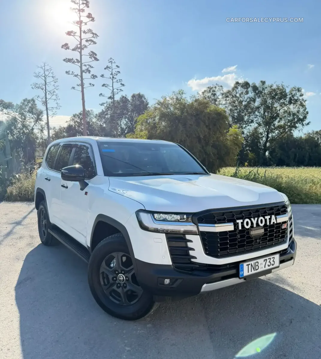 Toyota Land Cruiser 300 2024