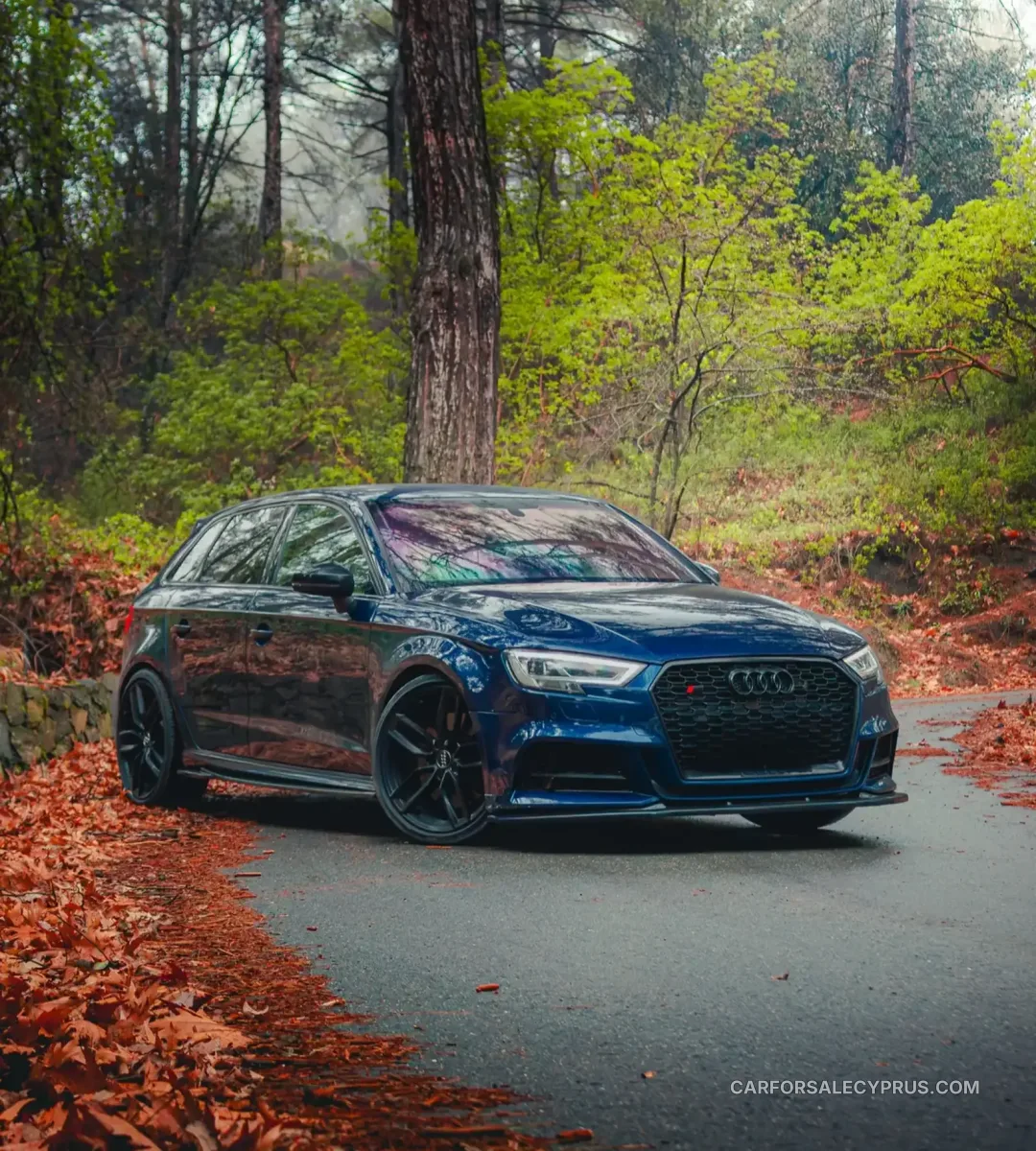 Audi S3 2017