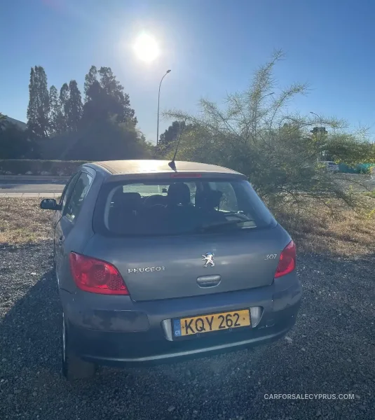 Peugeot 307 2007