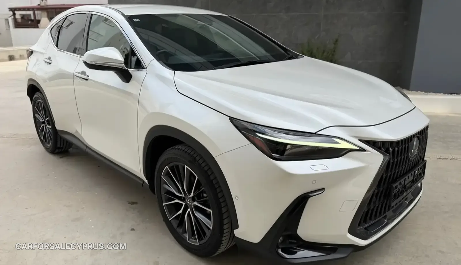 Lexus NX 2022