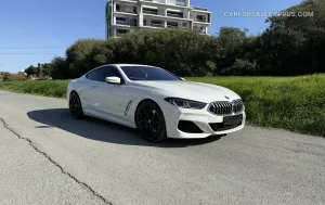 BMW Series 8 2018