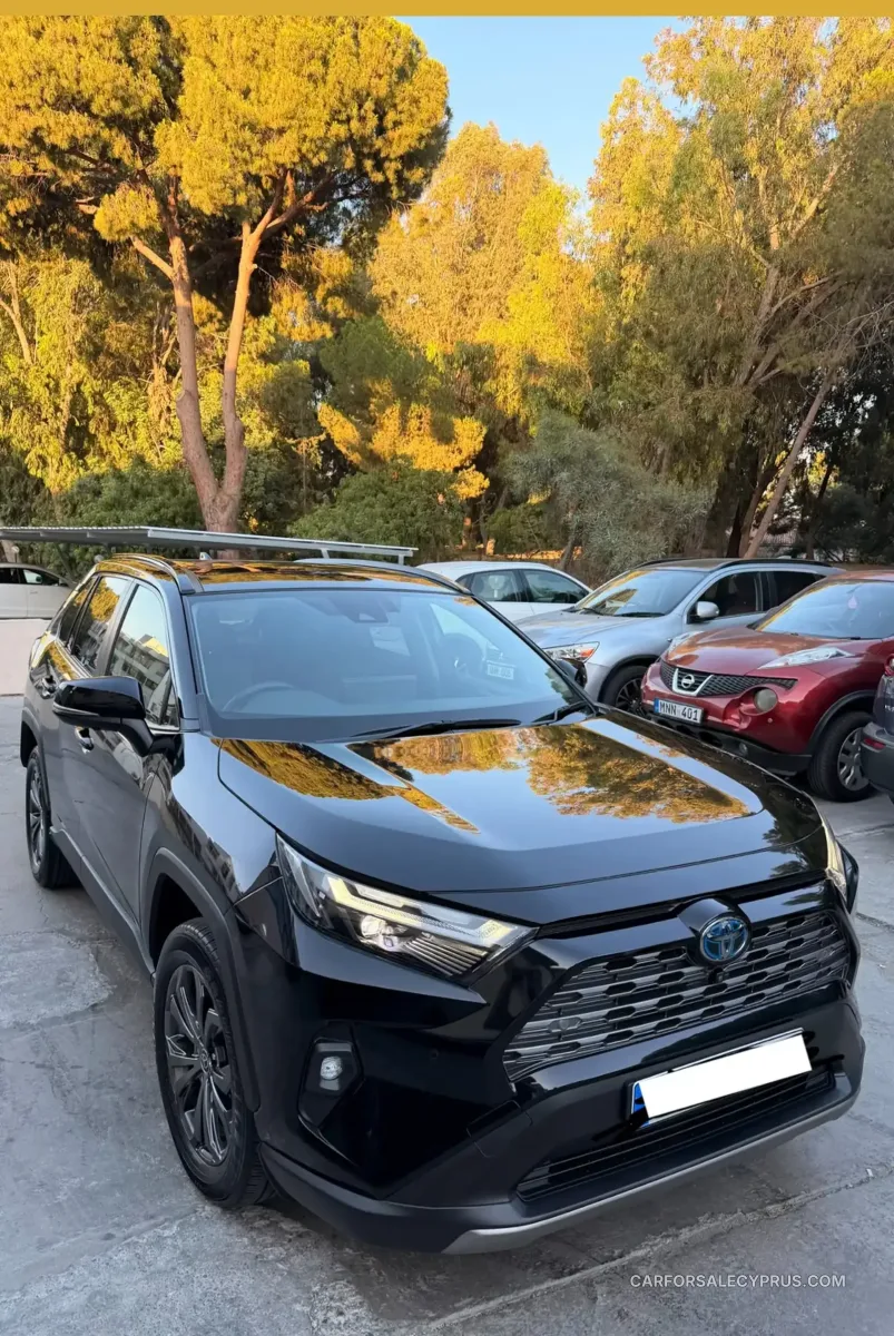 Toyota RAV4 2024