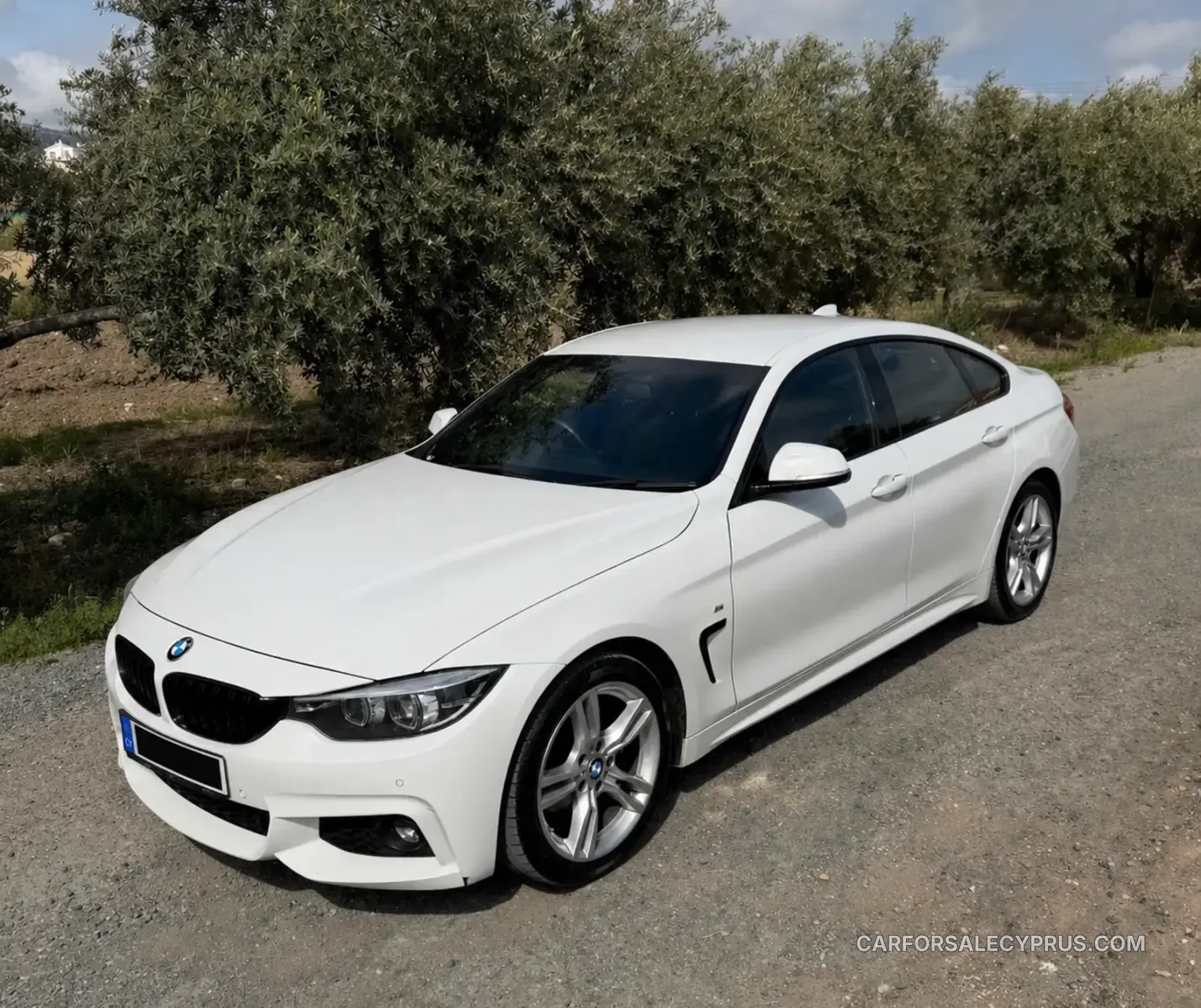 BMW Series 4 2017